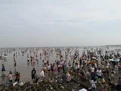 -奉贤海滩