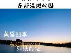 -东郊湿地公园