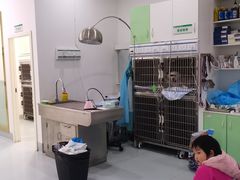 -汪喵宠物医院·骨科心脏影像·犬猫急重症ICU诊疗中心(成华分院)