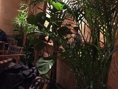 -大头椰·椰子鸡火锅(南宁万象城店)