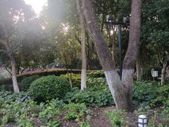 -常州古运河南大街文化旅游区-人民公园