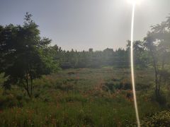 -洨河生态公园