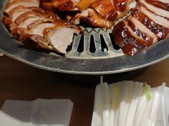 -守柴炉烤鸭(科华中路王府井店)