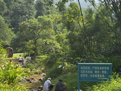 -田心森林公园