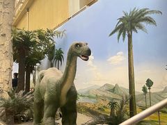 -国家自然博物馆