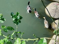 -金庭庄园酒店-停车场