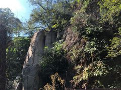 -北京鹫峰国家森林公园