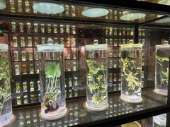 -广东中医药博物馆
