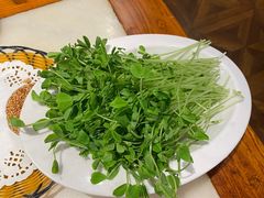 -南门涮肉(北洼路店)