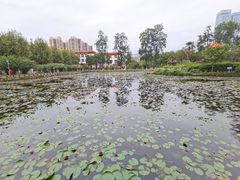 -四川大学(望江校区)
