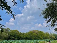 -西溪国家湿地公园