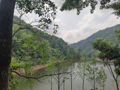 -广州市石门国家森林公园
