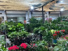 -白佛花鸟鱼虫批发市场小型宠物交易(东区)