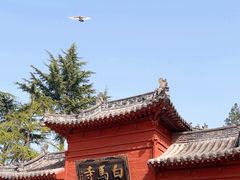 -洛阳白马寺