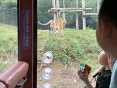 -大连森林动物园