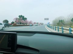 -巢湖姥山岛
