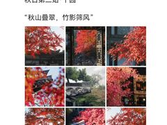 -陈记菜馆·非遗淮扬菜(东关街教场店)