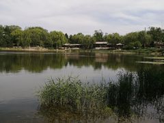 -北坞公园
