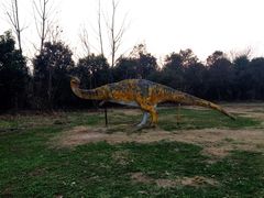 -祥源·阜阳生态乐园