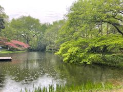 -杭州君悦酒店