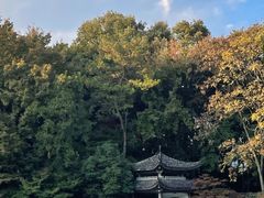 -杭州植物园