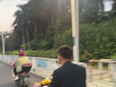 -南宁南湖公园
