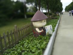 -上海都市菜园