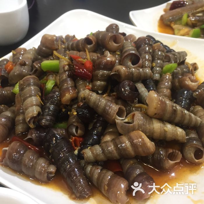 四川小胡子海鲜店尖嘴螺图片-北京海鲜-大众点评网