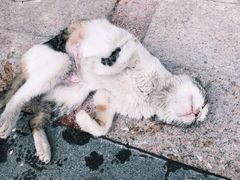 -隹木咖啡馆(宝龙广场店)