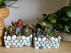 -FEI FEI FLOWER鲜花店·气球派对·宝宝宴布置(虹口德必运动Loft店)