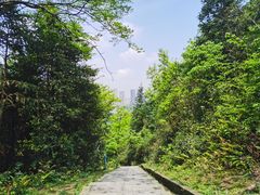 -桃花岭景区
