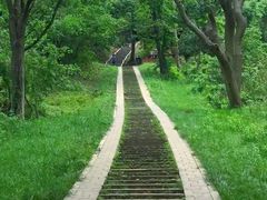 -青龙山国家森林公园