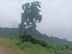 -沣峪口