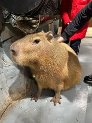 -Zoolung Zoolung动物主题公园(海信广场店)