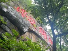 -铁山坪森林公园