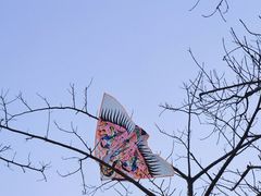 -飞凤山奥体公园
