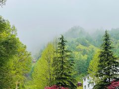 -老君山风景名胜区