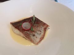 海鲈鱼-北京金融街丽思卡尔顿酒店·意味轩 Cepe