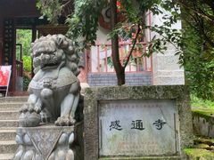-苍山感通索道
