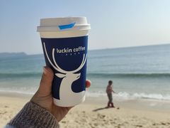 -大梅沙海滨公园