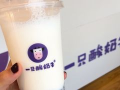 -一只酸奶牛(八一路店)