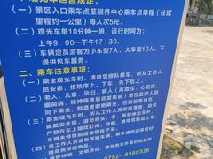 -广东惠东海龟国家级自然保护区