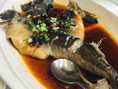 豆豉蒸鲟龙鱼-万龙洲海鲜(大兴绿地缤纷城店)