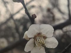 -坝河休闲公园