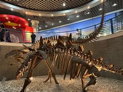 -国家自然博物馆