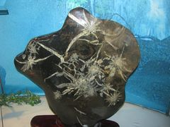 -灵秀温泉