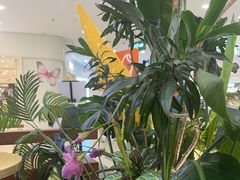 -野人先生Gelato(上海长宁龙之梦店)