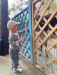 -萌宠亲子动物乐园(槐房万达店)