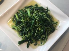 -天福苑(崇宁路店)