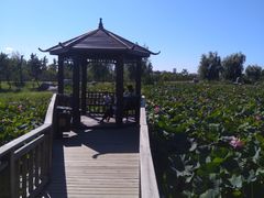 -羊亭河湿地公园